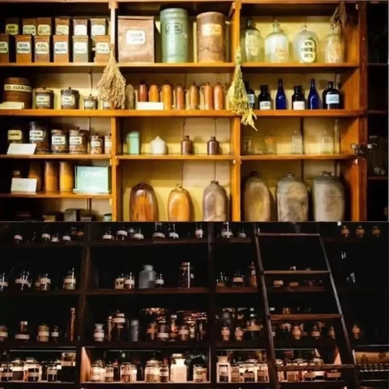 ホリスティックホームアポセカリー 1000以上の忘れられた治 - Herbal Wellness Guide のレビューと価格