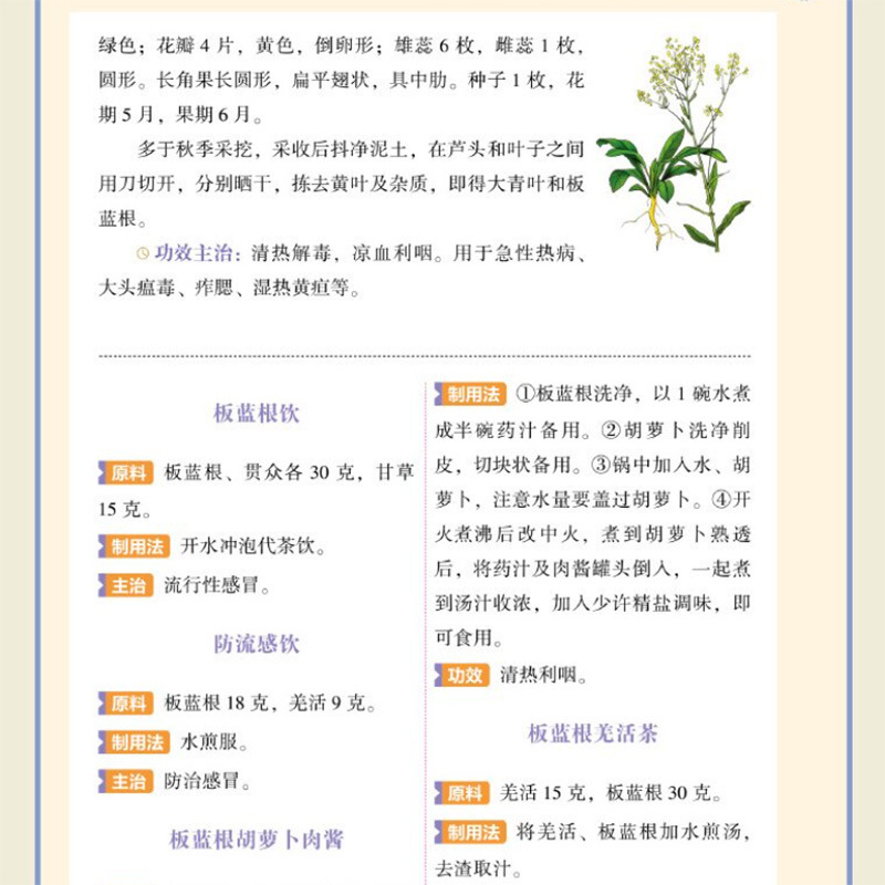 単一のハーブによる中国伝統医学の栄養補給のためのクイックリフ - Herbal Wellness Guide のレビューと価格